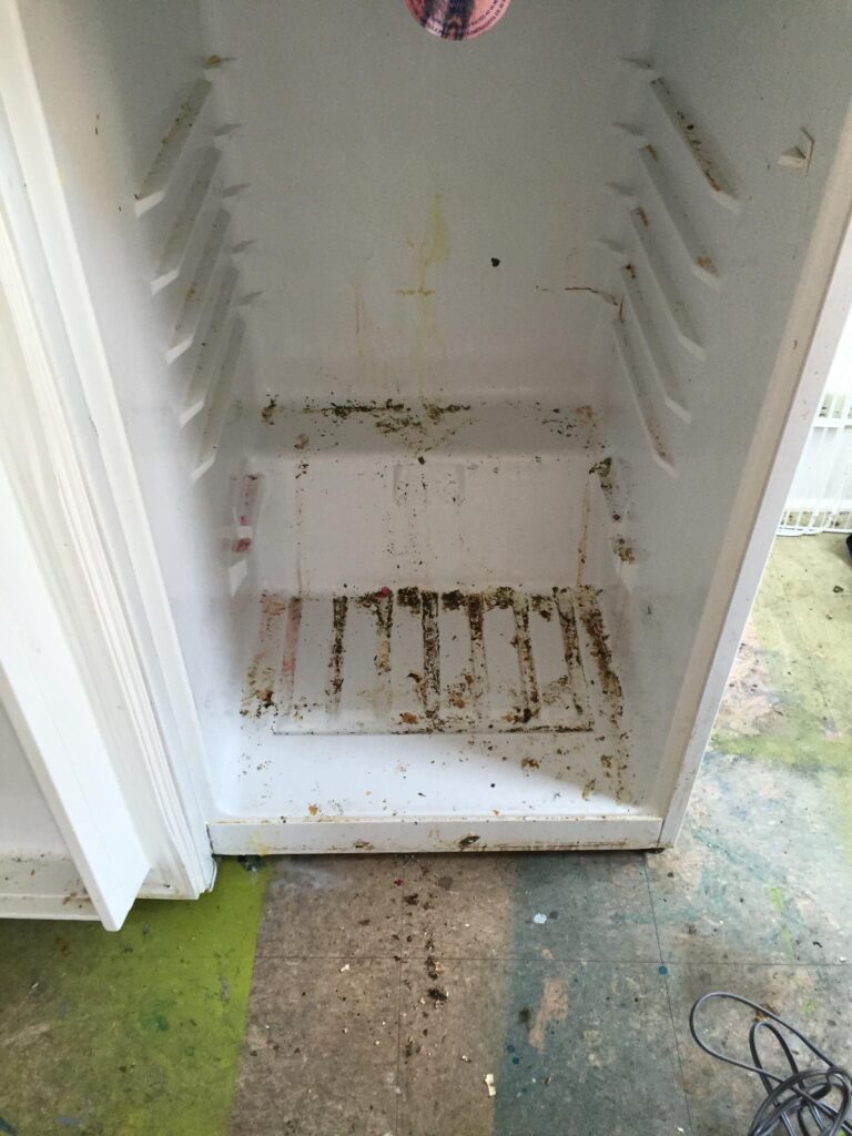 Kitchen ready to be cleaned