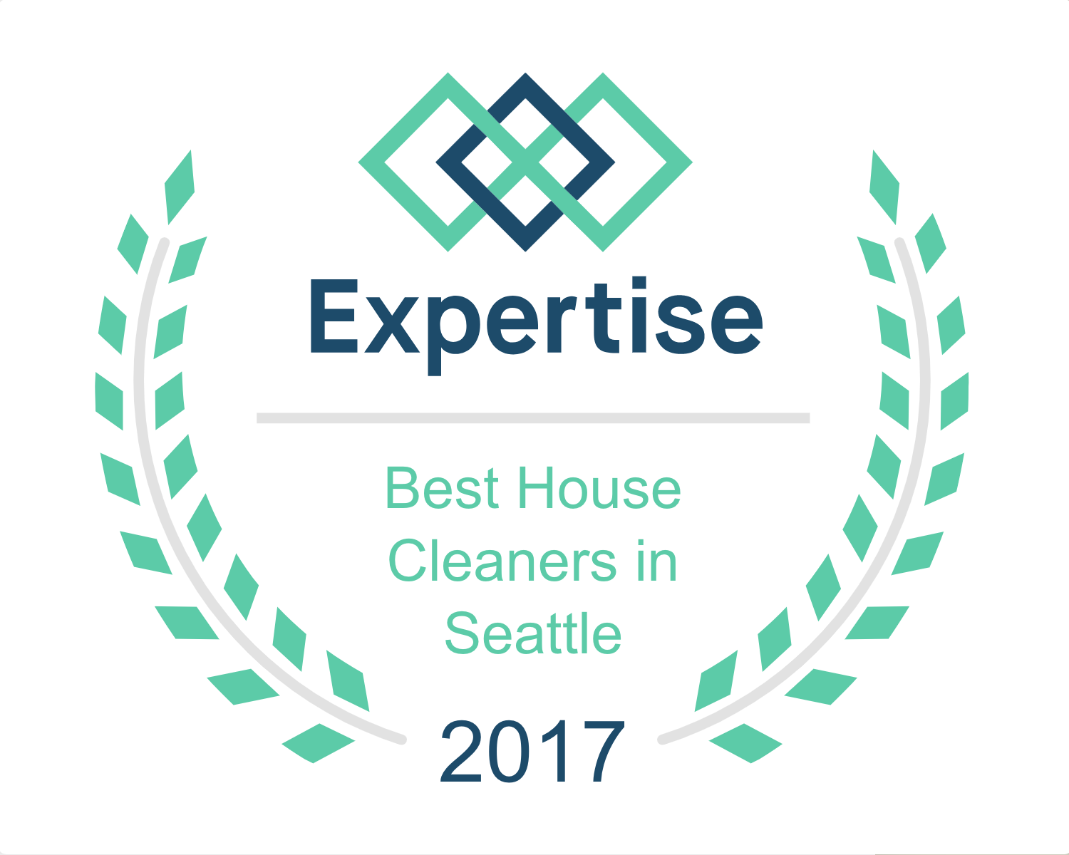 cleaning expertise badge 2017