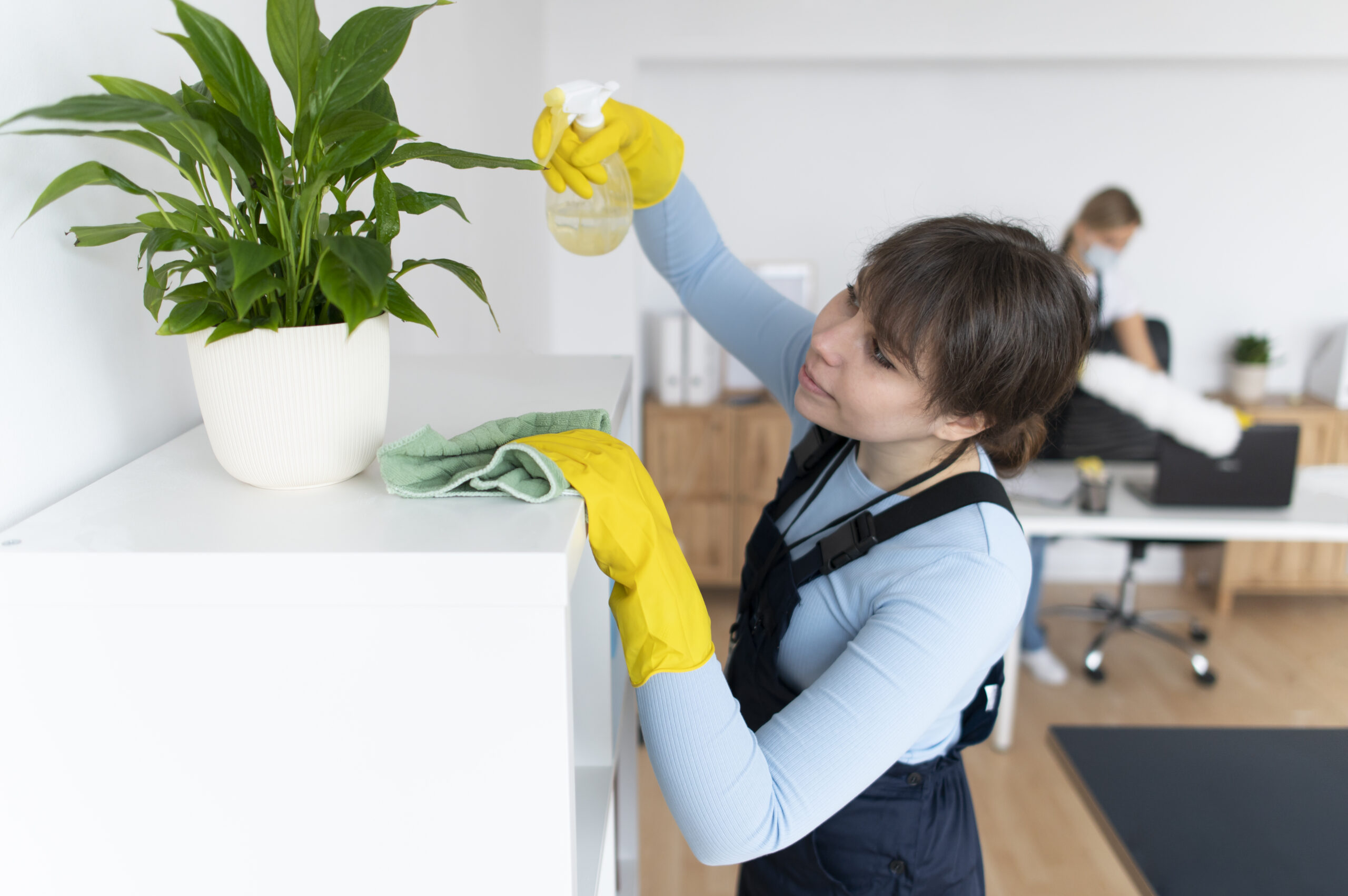 cleaning counters and watering plants
