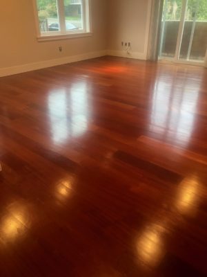 freshly cleaned hardwood flooring
