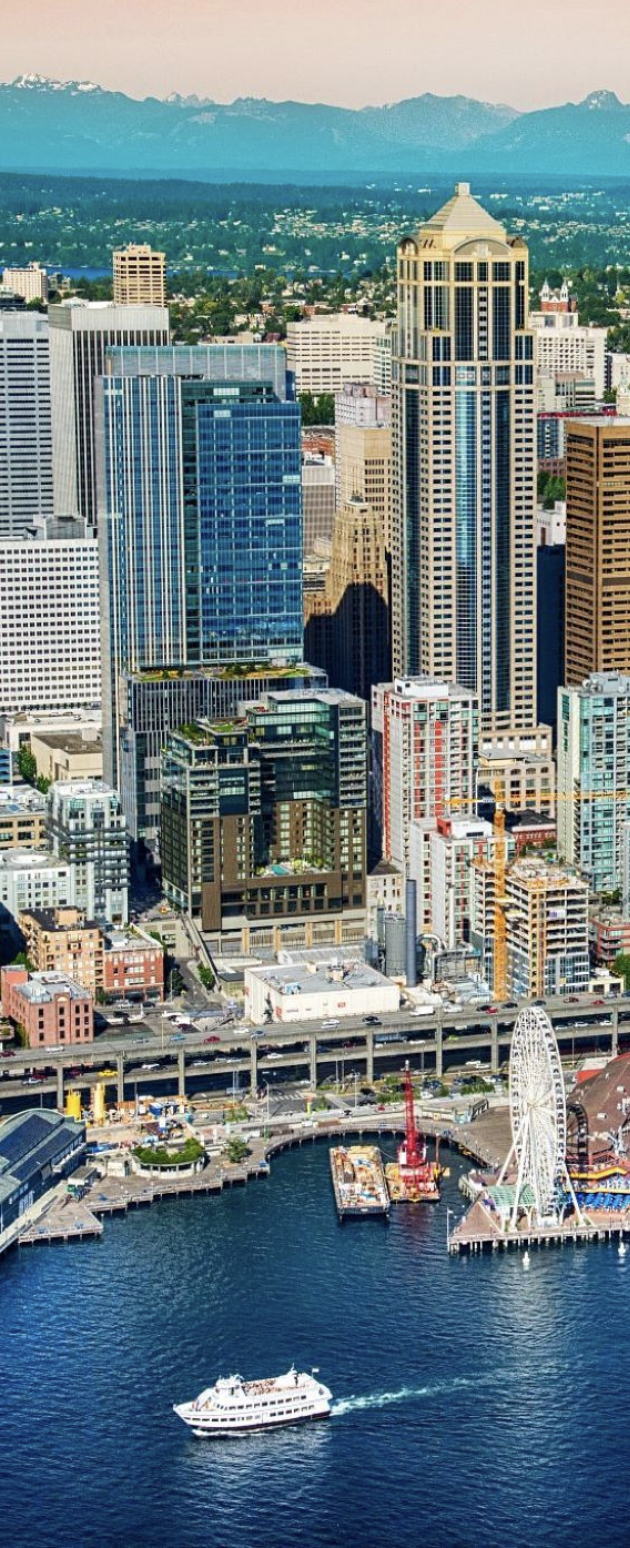 north seattle cleaning service