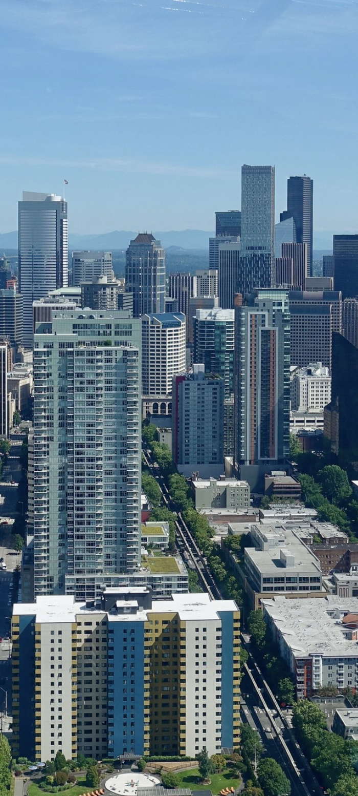 seattle cleaning service