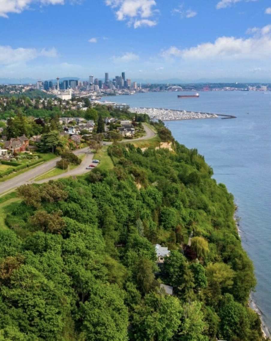 magnolia cleaning service