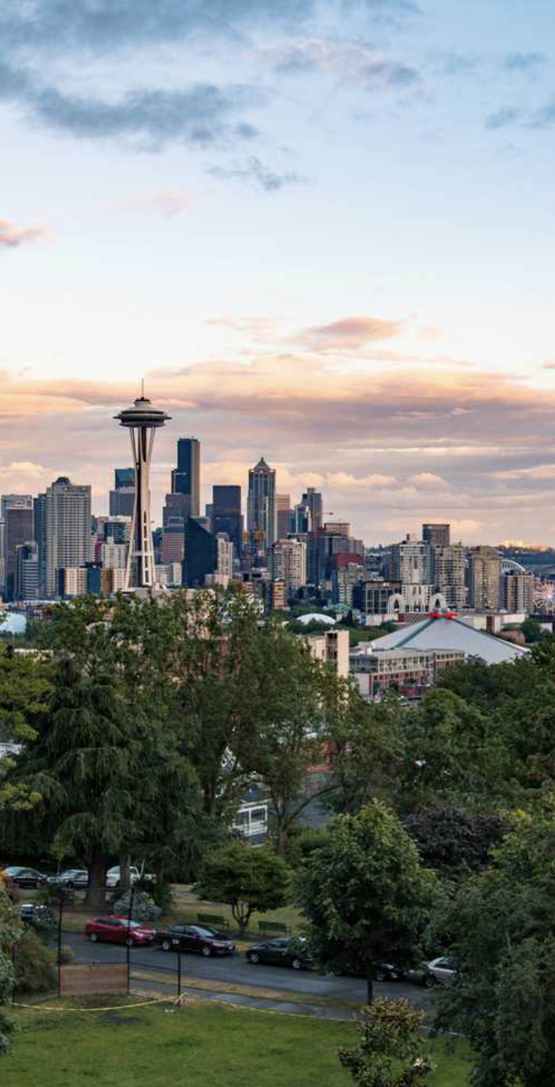 queen anne cleaning service