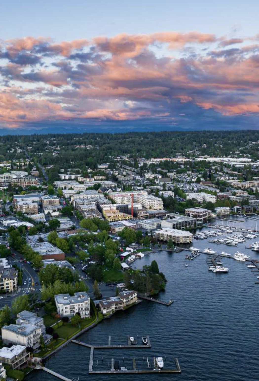 kirkland cleaning service