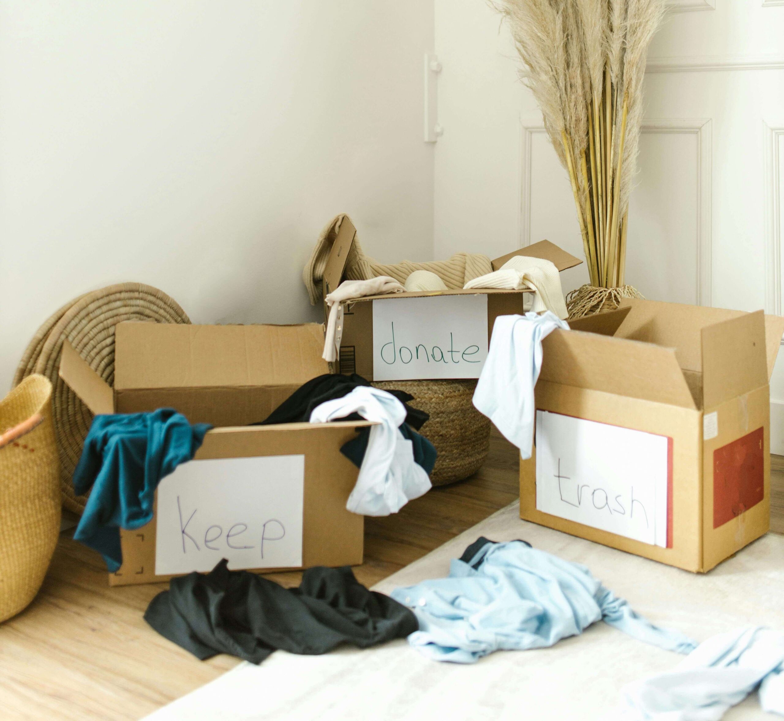 labeled cardboard boxes for home decluttering and organizing